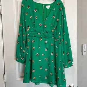 Socialite green dress